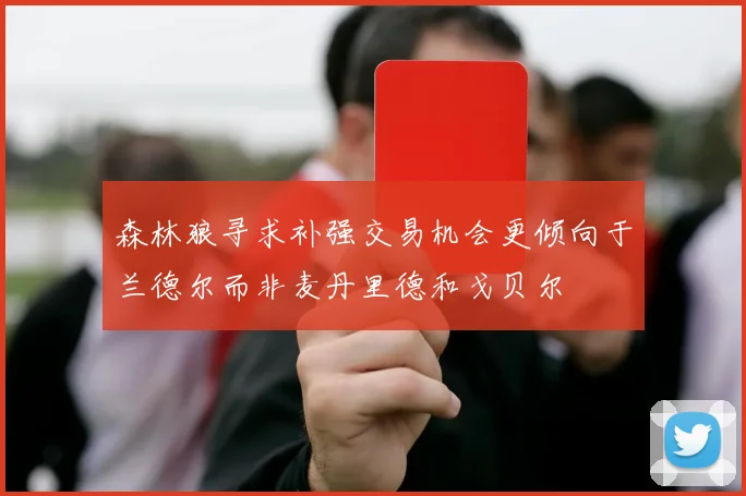 森林狼寻求补强交易机会更倾向于兰德尔而非麦丹里德和戈贝尔
